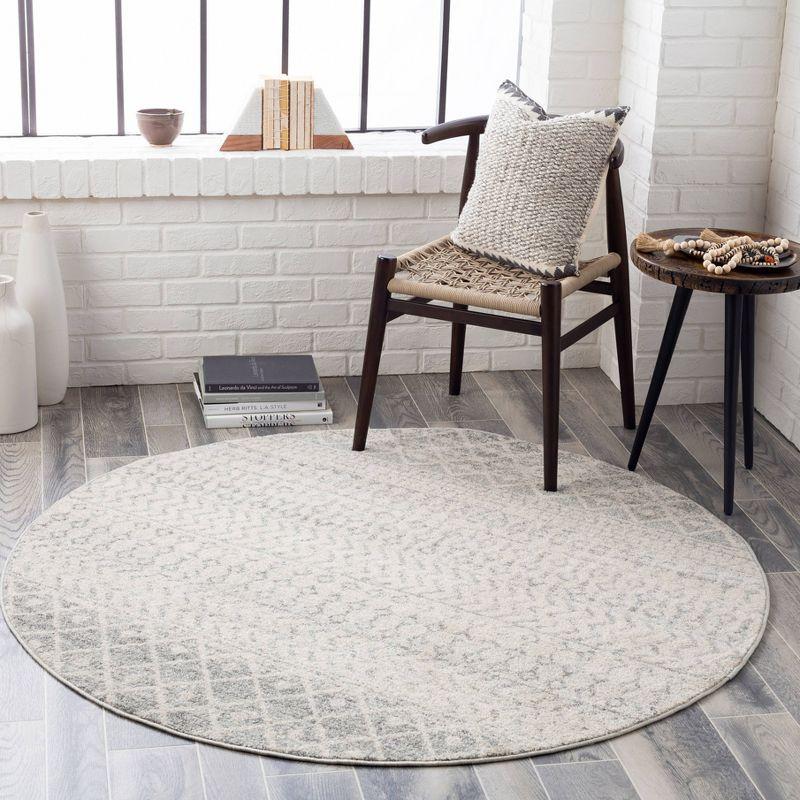 Elegance Gray Round 5'3" Synthetic Easy-Care Rug