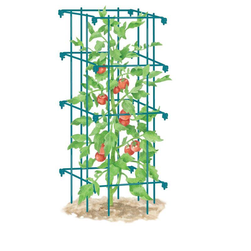 Gardener's Supply Company Lifetime Tomato Cage Plant Stand | 32" High Sturdy Steel Garden Plants Support for Tomatoes and Other Climbing Plants | No
