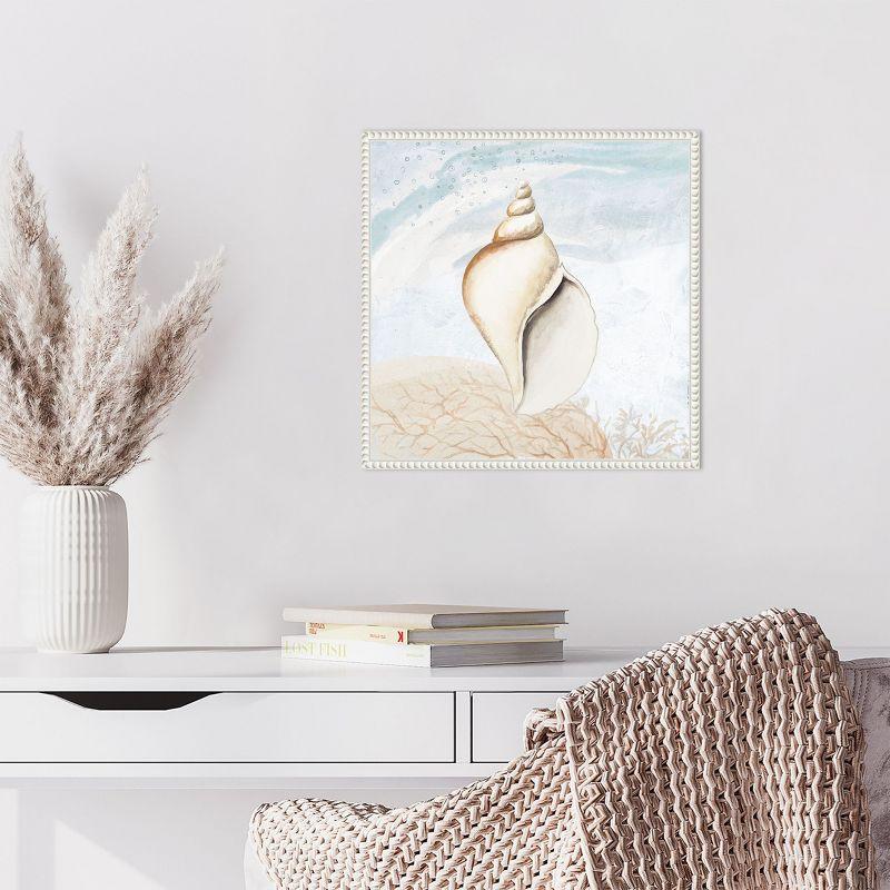 Amanti Art Ocean Oasis Tropical Seashell I by Patricia Pinto Canvas Wall Art Print Framed 16 x 16-in.