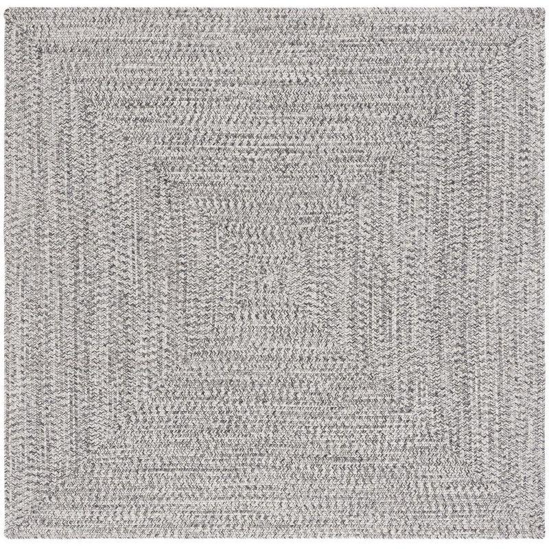 Braided BRA201 Hand Woven Area Rug  - Safavieh