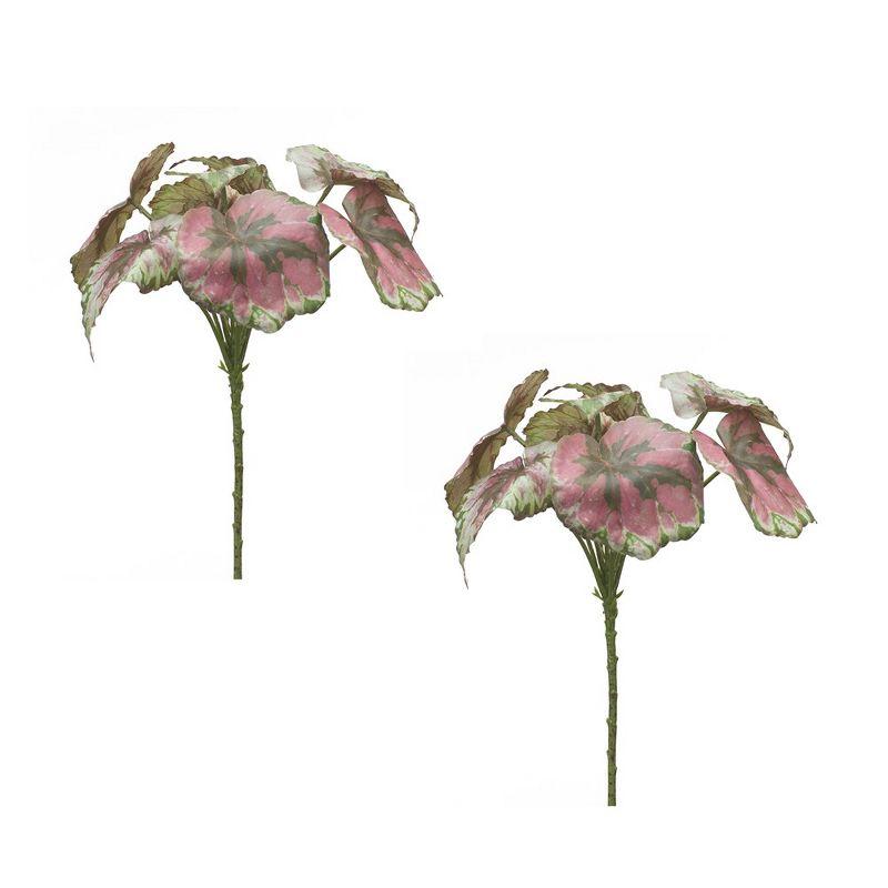 Melrose Begonia Leaf Bush (Set of 2)