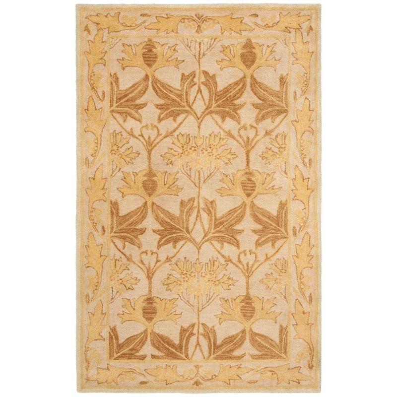 Anatolia AN541 Hand Tufted Area Rug  - Safavieh