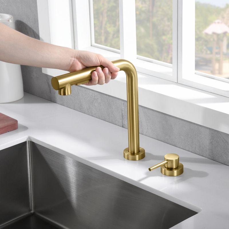 SUMERAIN Kitchen Sink Faucet with Pull Out Sprayer and Side Handle, 2 Hole Sink Faucet Brushed Gold