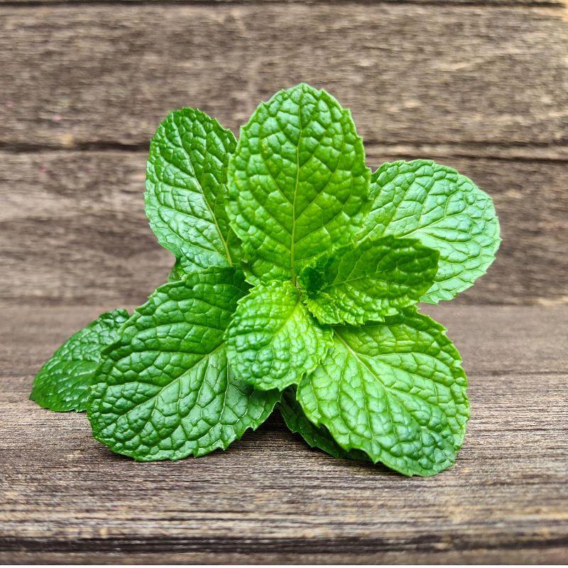 Fresh Mint (Pudina) Leaves - 1.5-2oz - Rani Brand Authentic Indian Products