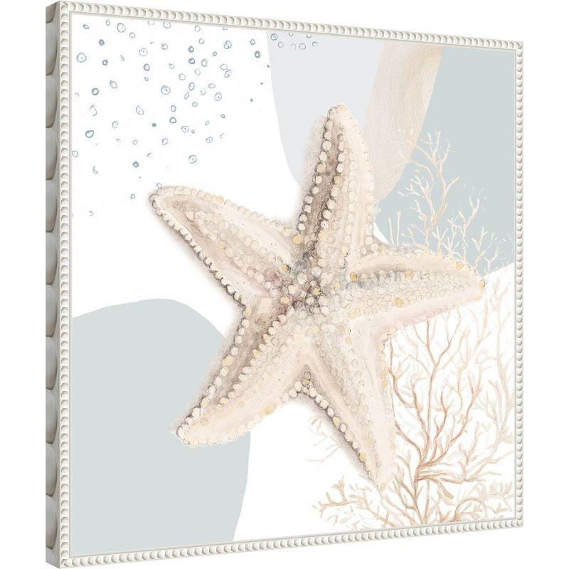 Amanti Art Ocean Oasis Bubbles Starfish by Patricia Pinto Framed Canvas Wall Art