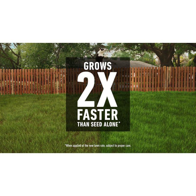 Scotts Turf Builder Rapid Grass Seed Tall Fescue Mix - 5.6lb