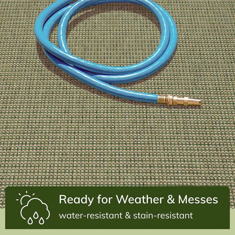 Marshanna Odin Solid Striped Border Indoor Outdoor Green Flatweave Rug