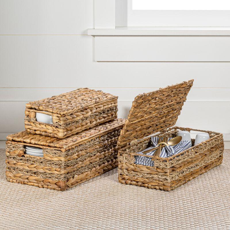 happimess Sandrine Classic Farmhouse Handwoven Hyacinth Storage Baskets with Handles and Lids, Natural (Set of 3)
