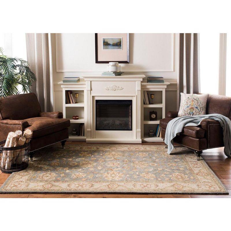 Antiquity AT312 Hand Tufted Area Rug  - Safavieh