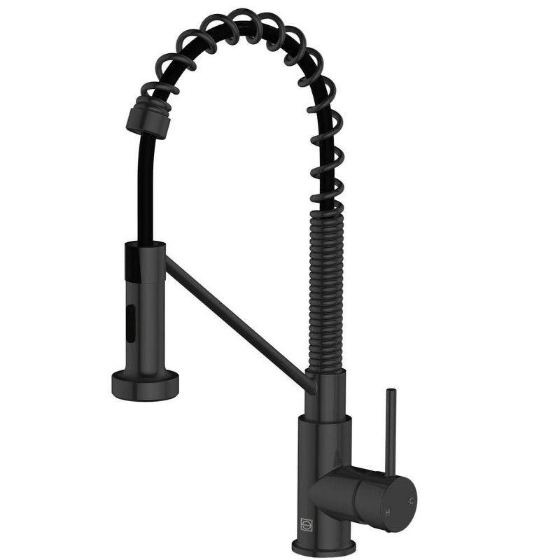 Elegant Lighting Yara Pull Down Spray Kitchen Faucet