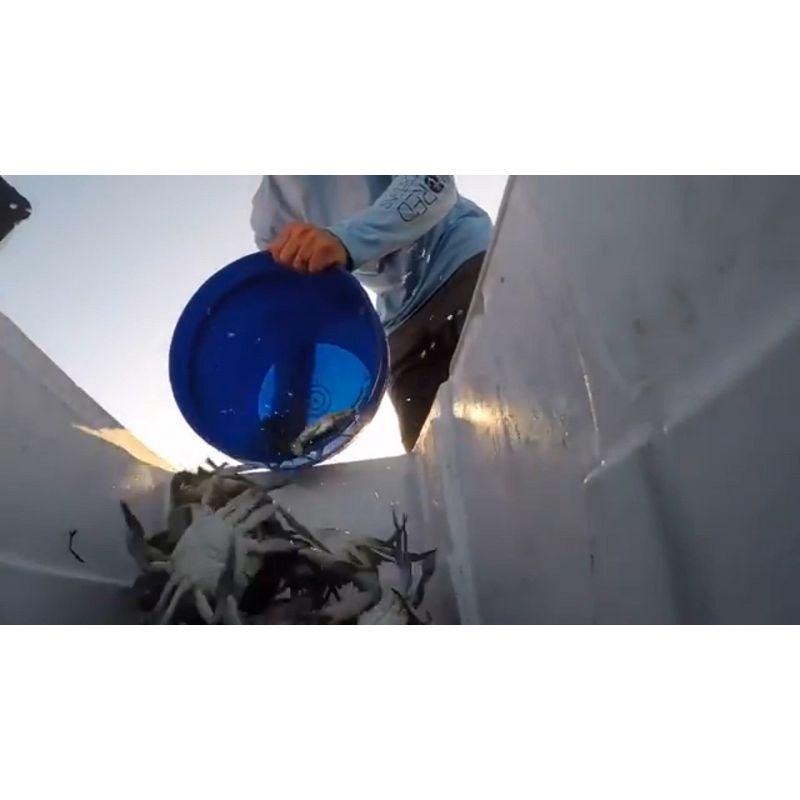 Bayou Classic 10-Quart Stainless Steel Lidded Kitchen Deep Frying Pot with Handles, Fry Perforated Basket, and Thermometer, Silver