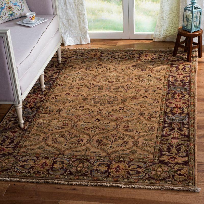 Old World OW119 Hand Knotted Area Rug  - Safavieh