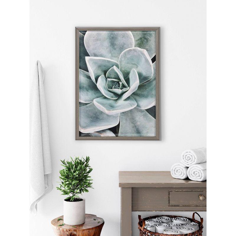 18" x 24" Blake Botanical Succulent Plants Printed Glass Framed Canvas by the Creative Bunch Studio Gray - Kate & Laurel All Things Decor: