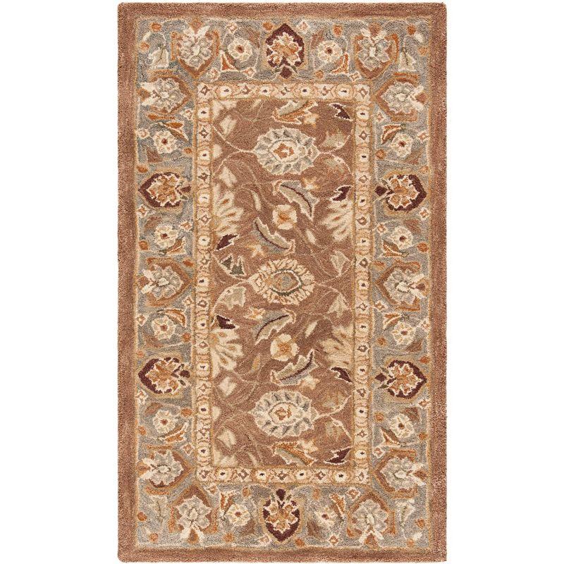 Anatolia AN549 Hand Tufted Area Rug  - Safavieh