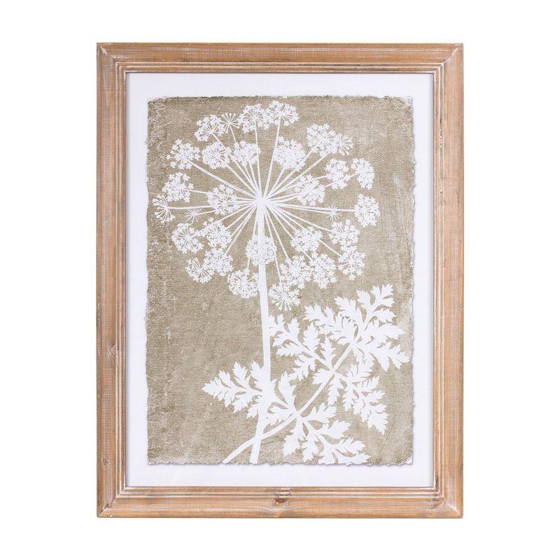 Melrose Framed Queen Anne's Lace Wall Art (Set of 2)