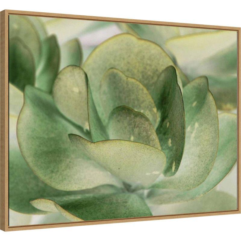 30" x 23" Petal I by Tang Ling Framed Canvas Wall Art Print - Amanti Art: Modern Botanical Decor