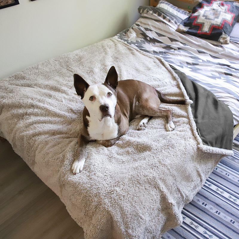 Kritter Planet Waterproof Blanket for Dogs, 80x60 Inches, Gray