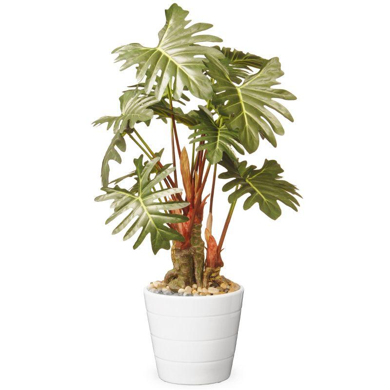 Silk Philodendron 23" Potted Tabletop Plant in White Ceramic