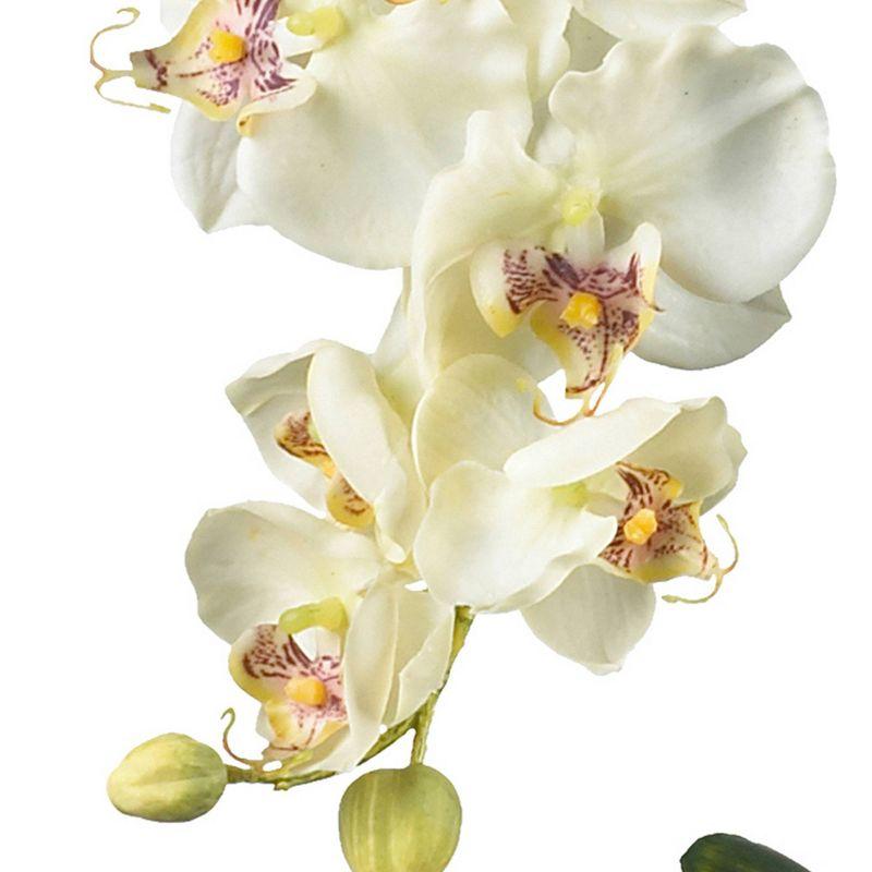 Orchid Elegance 29'' White Phalaenopsis Outdoor Tabletop Arrangement