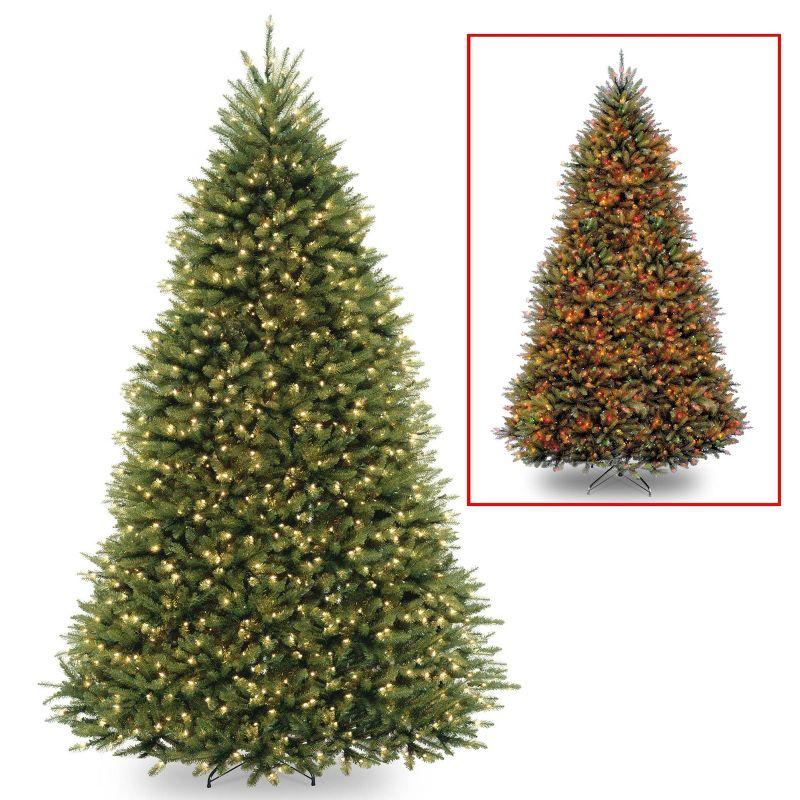 The Holiday Aisle® 9ft. Dunhill Fir Tree with Dual Color LED Lights