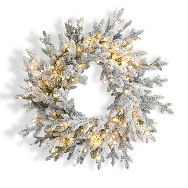 Dandan Faux Lighted Plug-In 24'' Wreath