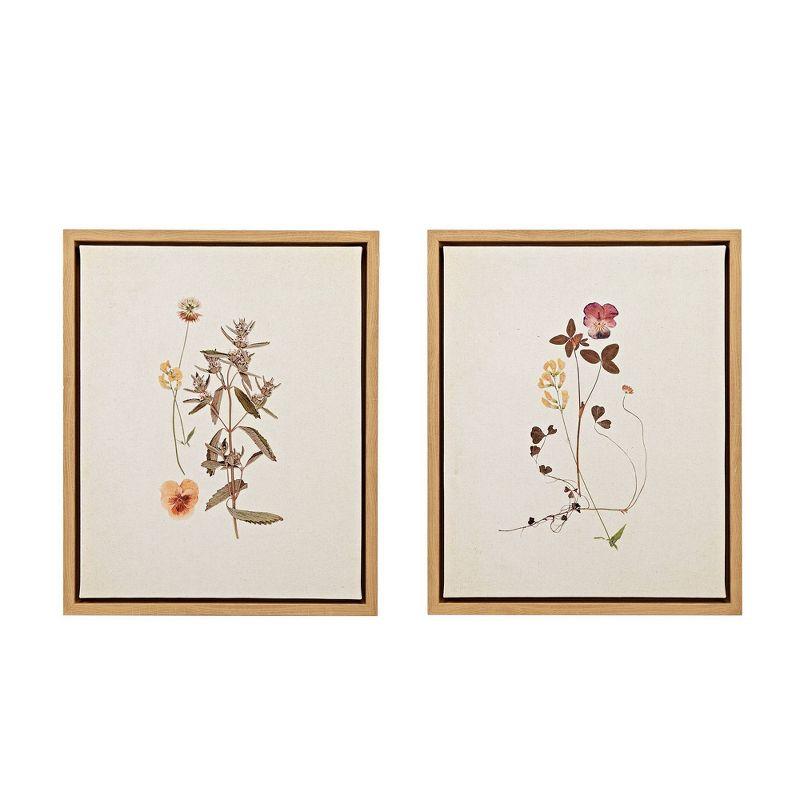 Martha Stewart French Herbarium 2-piece Framed Canvas Wall Art Set