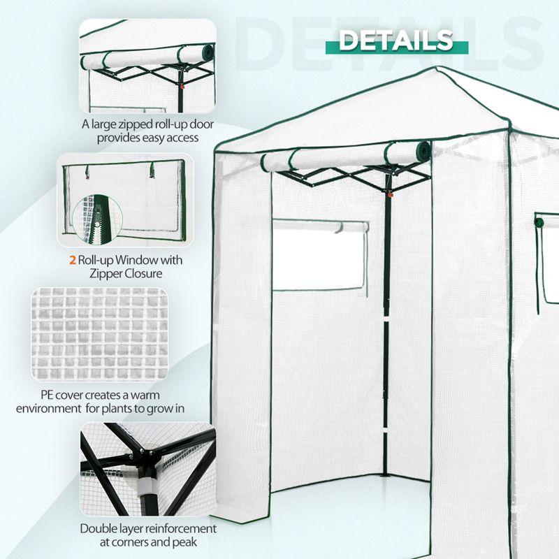 EAGLE PEAK Pop Up Greenhouses 6 ft x 4 ft Greenhouse