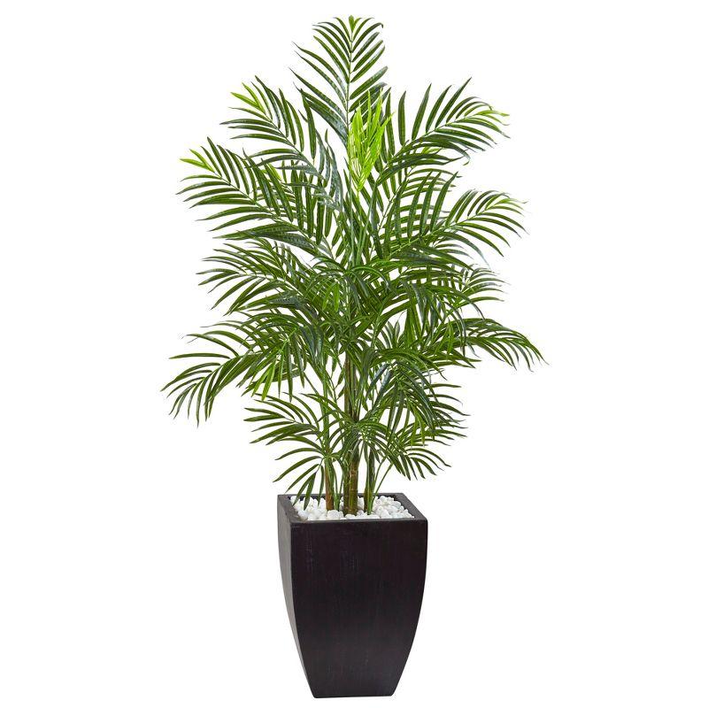 4.5-Foot Green Palm Tree in Black Planter with White Rocks