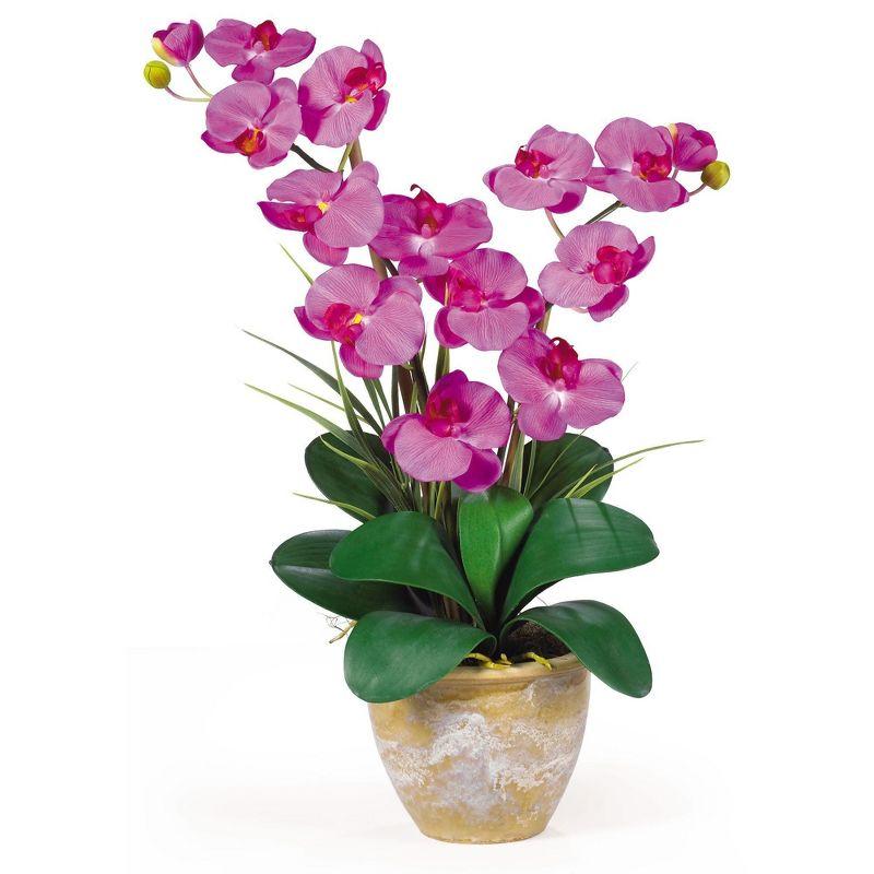 Nearly Natural Double Phalaenopsis Silk Orchid Flower Arrangement, Beauty