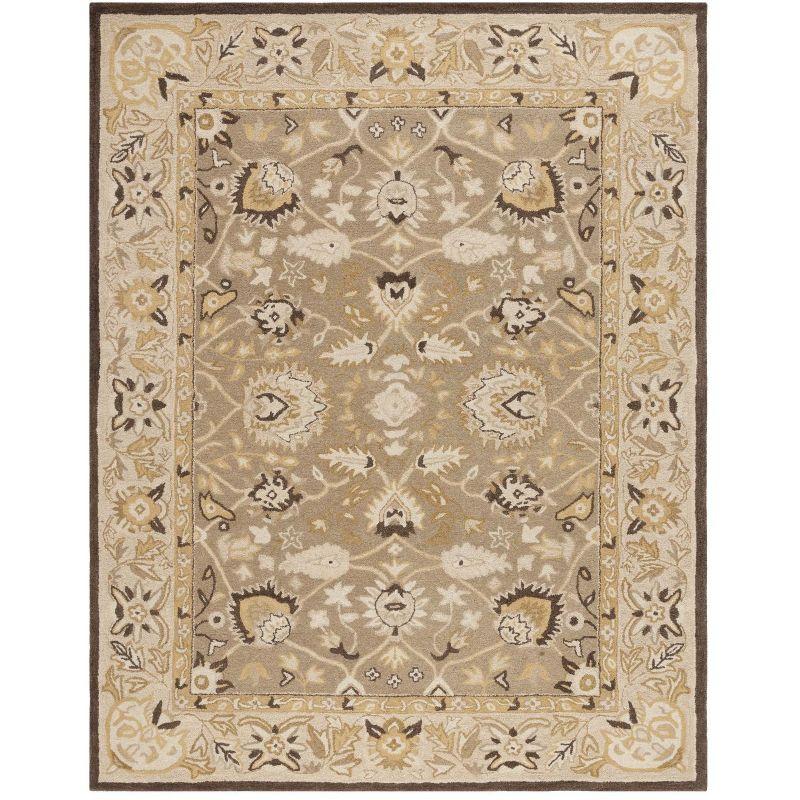 Anatolia AN512 Hand Tufted Indoor Area Rug - Sage/Beige - 9'x12' - Safavieh
