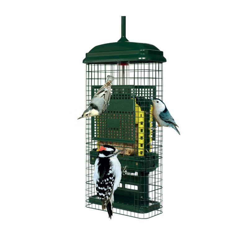 Green Metal Hanging Squirrel-Proof Suet Bird Feeder