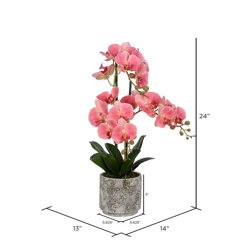 Vickerman 24" Artificial Pink Phalaenopsis In Cement Pot.