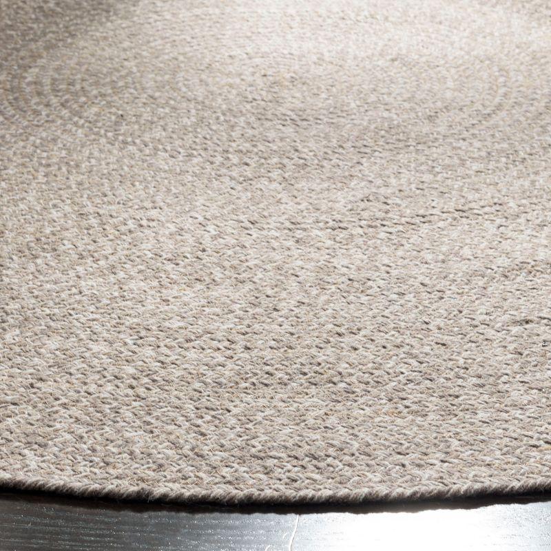 Braided BRD256 Hand Woven Area Rug  - Safavieh