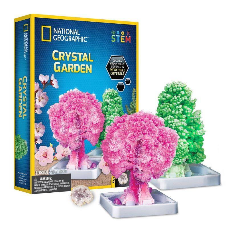 National Geographic Crystal Garden RT Box Science Kit