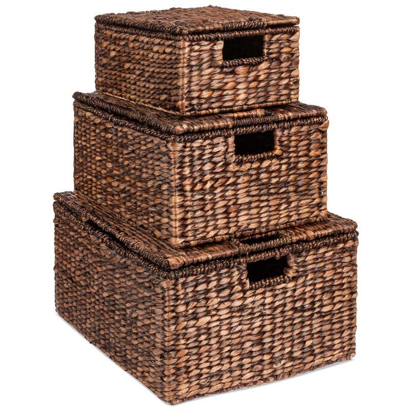 Set of 3 Brown Hyacinth Storage Baskets with Handles and Lids