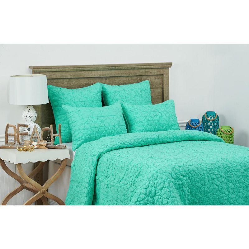 C&F Home 20" x 26" Mara Seafoam Cotton Standard Sham - Machine Washable