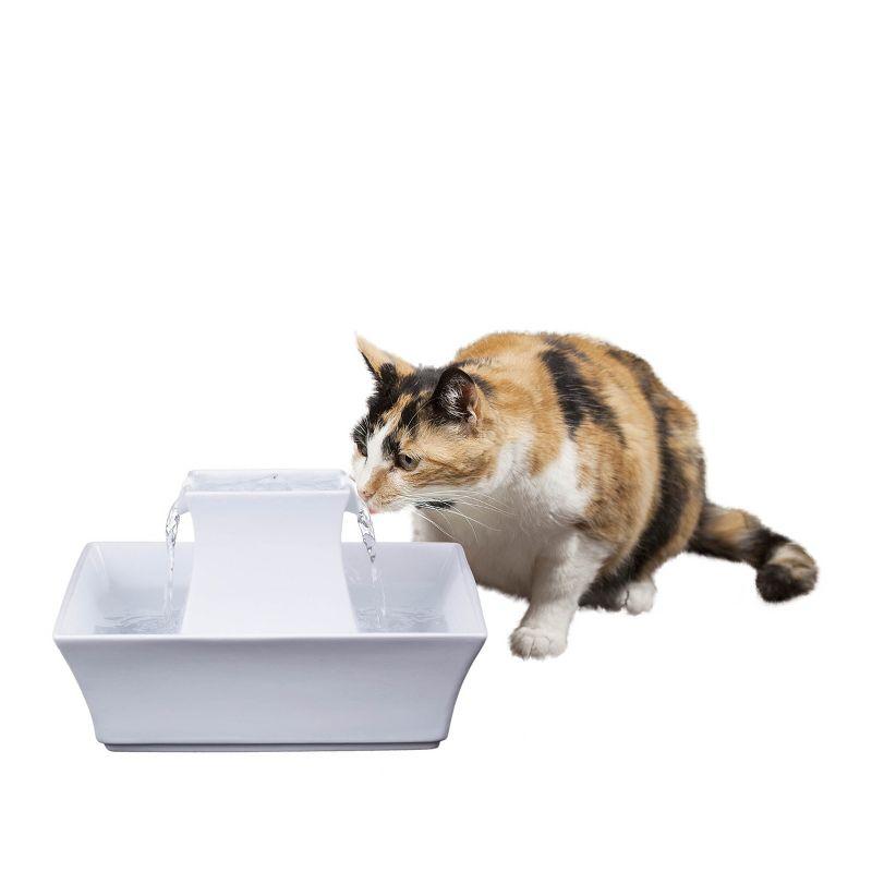 PetSafe® Pagoda Pet Fountain