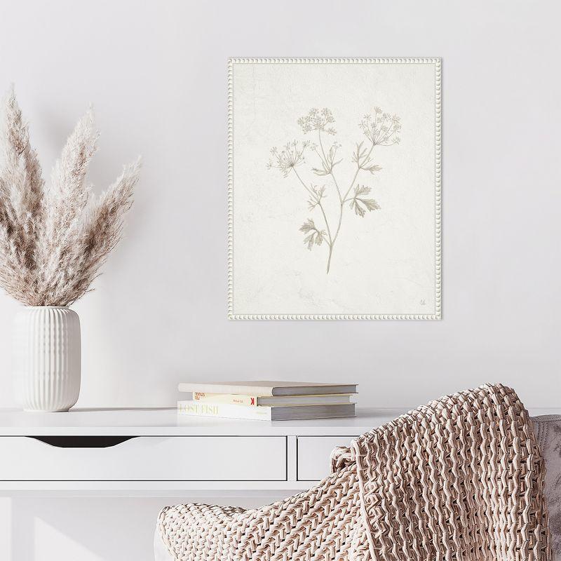 Amanti Art Plants from the Meadow IV by Sarah Adams Canvas Wall Art Print Framed 16 x 20-in.