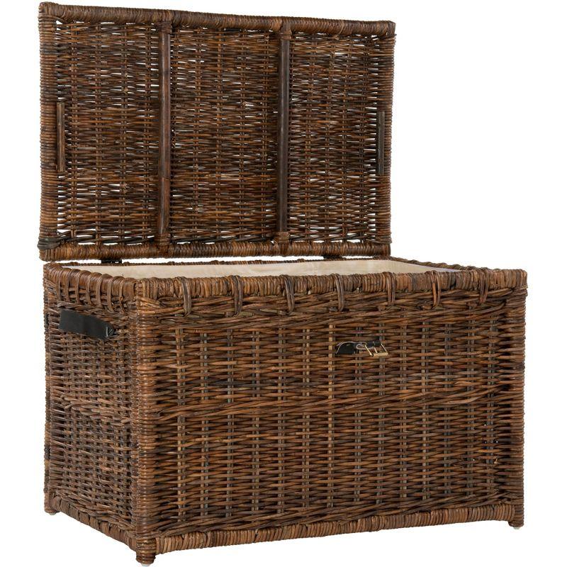 happimess Caden Wicker Trunk & Reviews | Wayfair