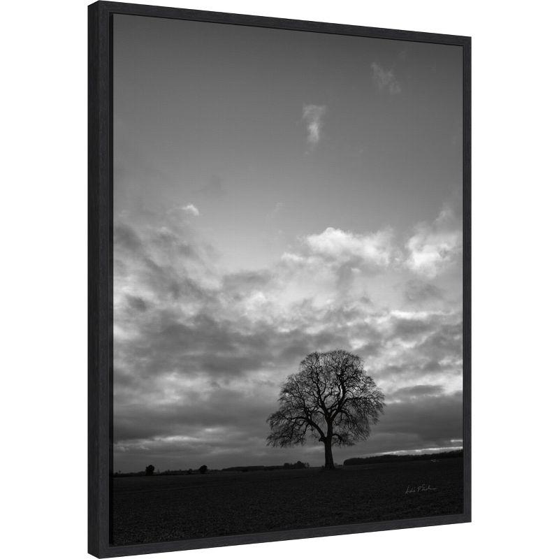 Amanti Art Horizon Tree BW by Andre Eichman Canvas Wall Art Print Framed 23 x 28-in.