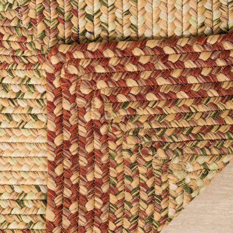 Braided BRD303 Hand Woven Area Rug - Rust/Multi - 5'x5' - Safavieh.