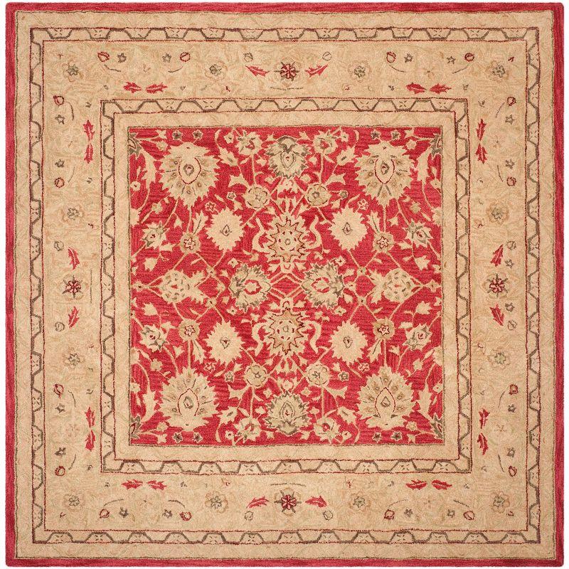 Anatolia AN522 Hand Tufted Area Rug  - Safavieh