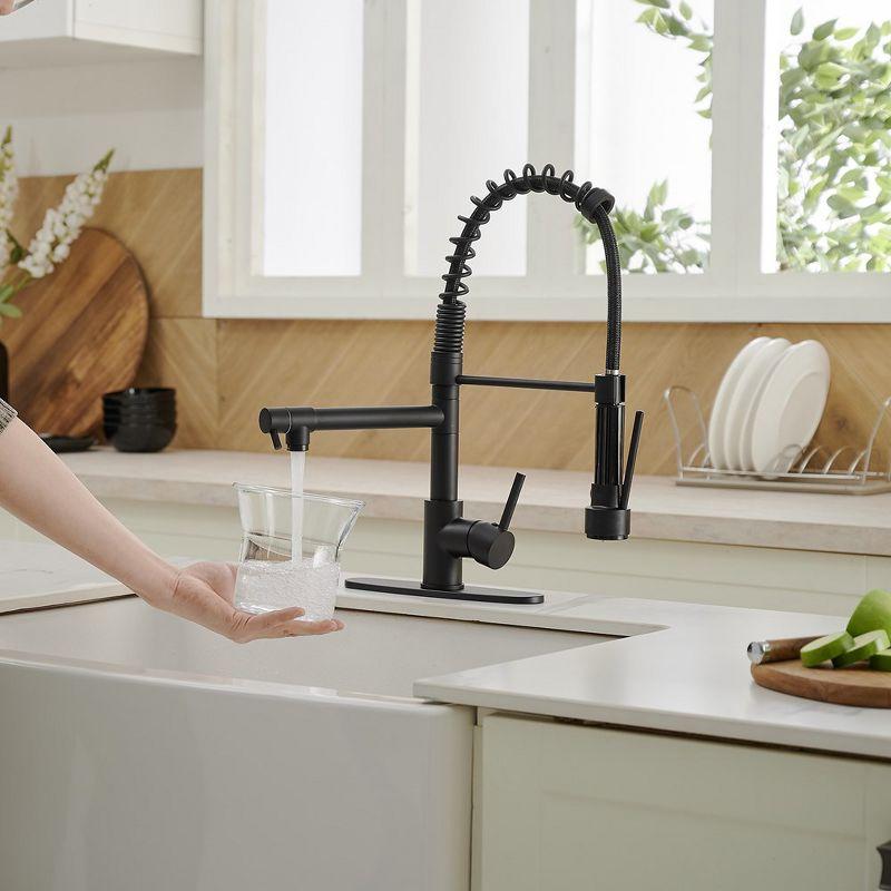 Single-Handle Pull-Down Sprayer 2 Spray High Arc Kitchen Faucet With Deck Plate