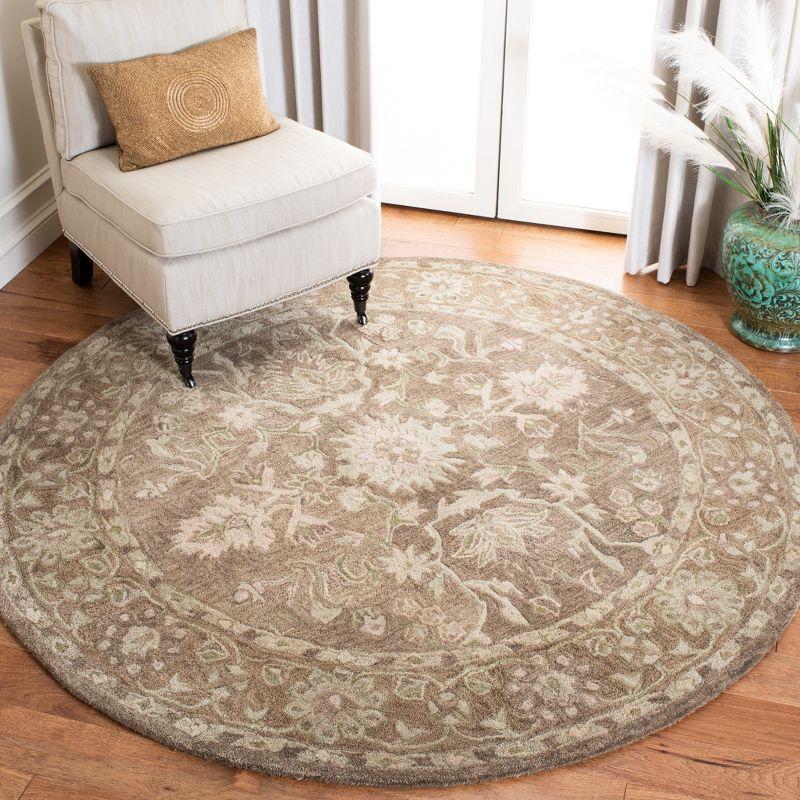 Anatolia AN585 Hand Tufted Traditional Area Rug  - Safavieh