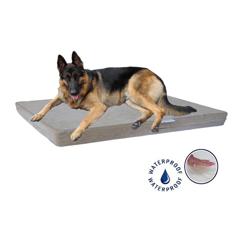 Go Pet Club Orthopedic Pet Bed
