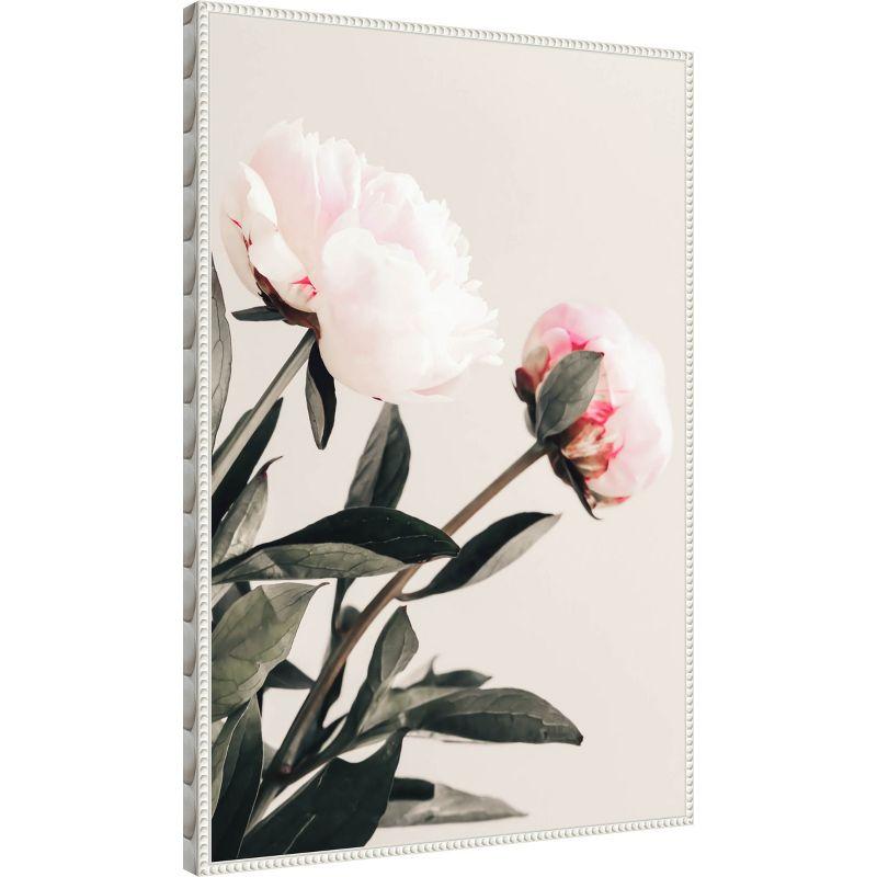 Amanti Art Peony 23 by Pictufy Studio III Canvas Wall Art Print Framed 23 x 33-in.