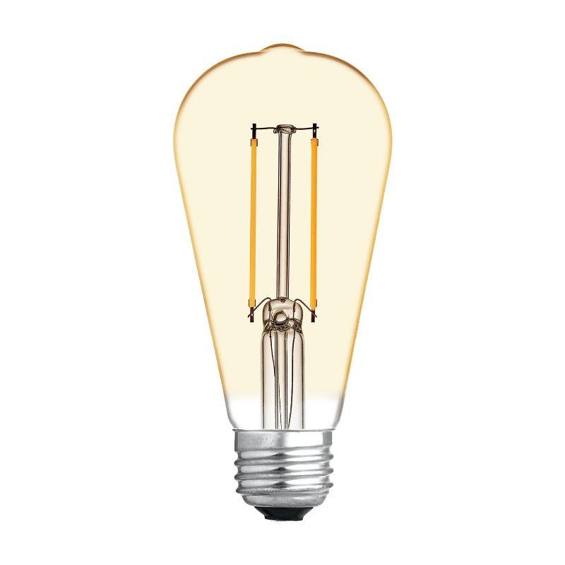 GE 2pk 60W Vintage Style ST19 LED Edison Light Bulbs Amber Glass