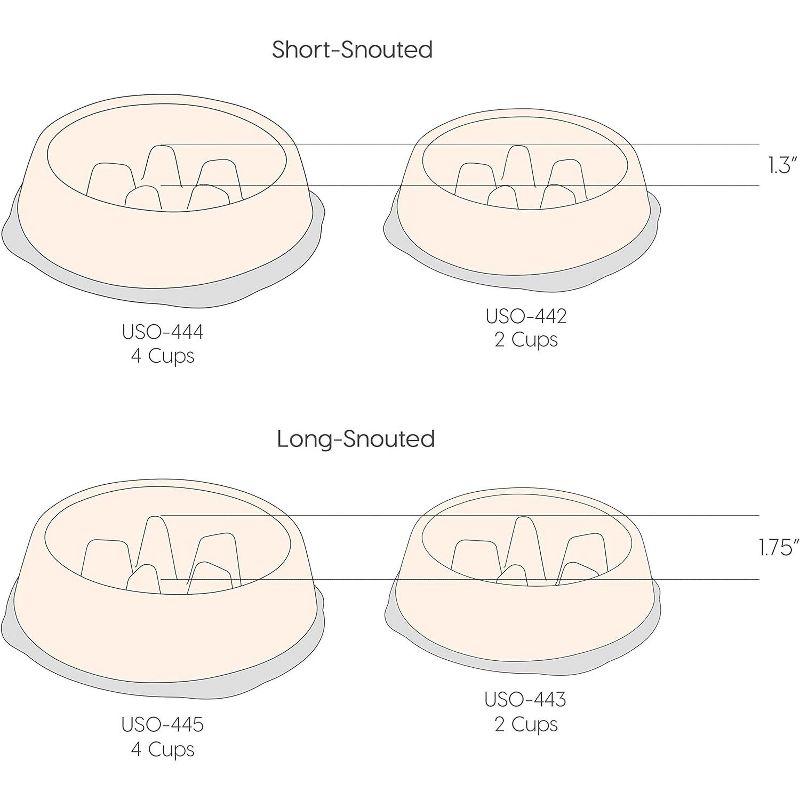 IRIS USA 2 Cup Slow Feeder Dog Bowl for Long Snouted Pets, White/Beige