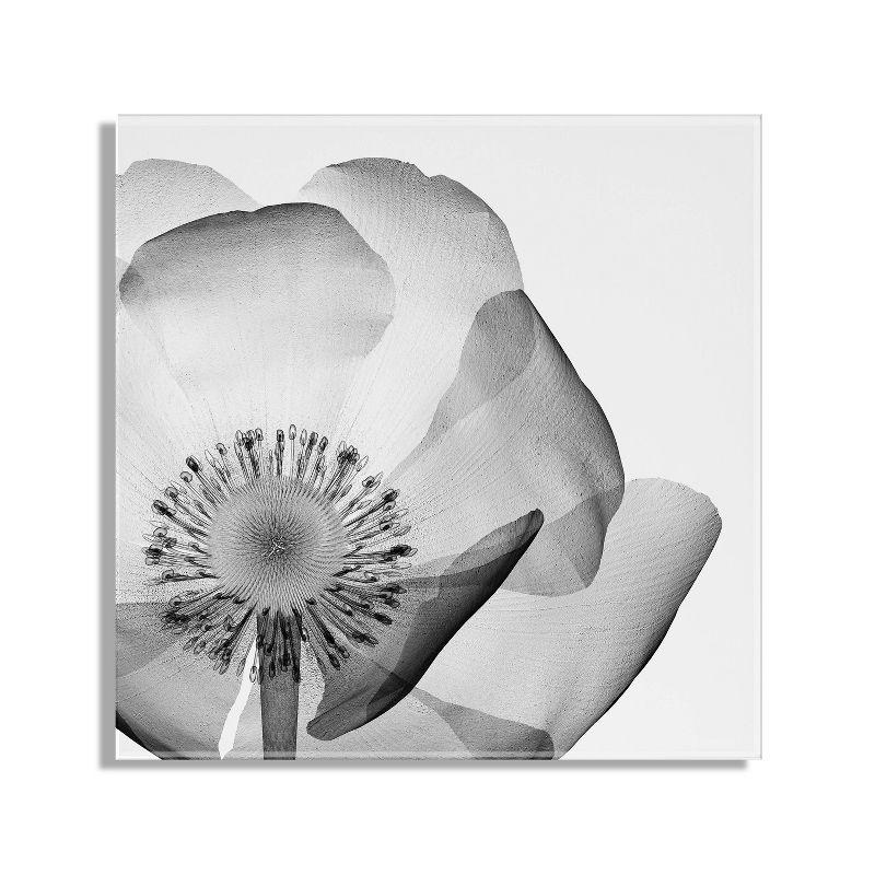 23" x 23" Poppy Ray Floral Floating Acrylic Wall Canvas: Modern Decor by Kate & Laurel