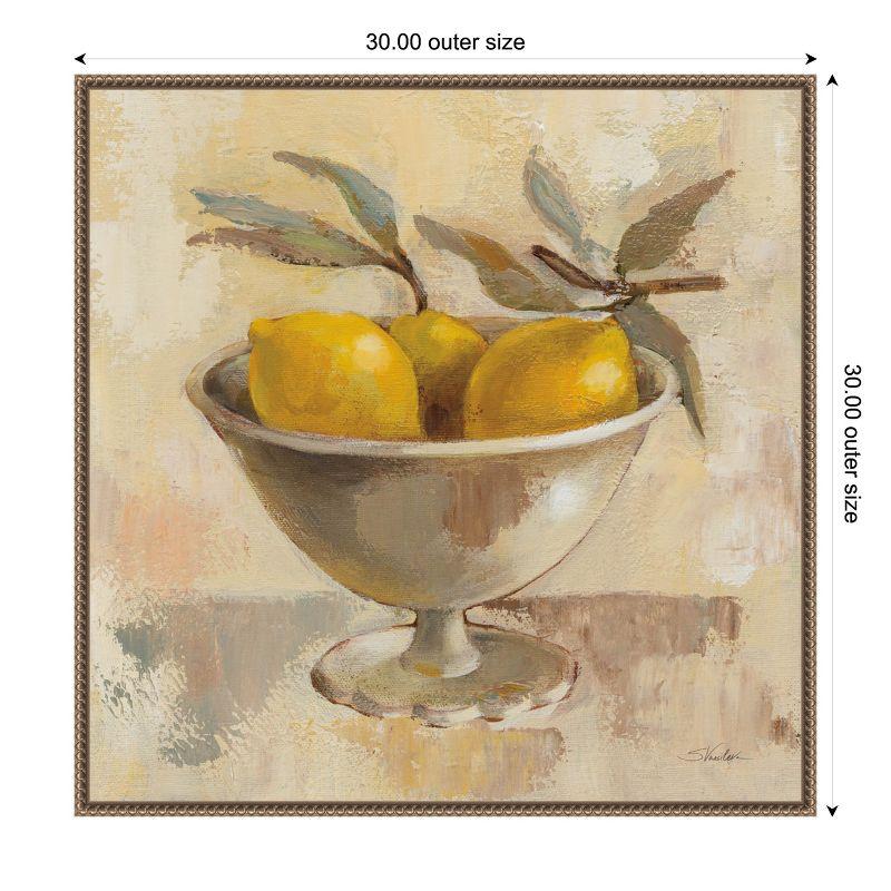 Amanti Art Fruits in Old Bowl I by Silvia Vassileva Framed Canvas Wall Art